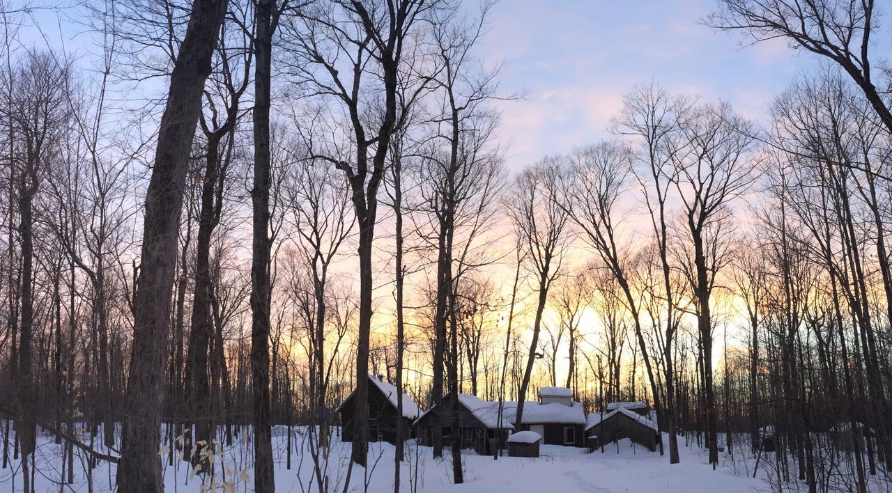 Bed & Breakfast Larguer Les Samares Dans Une Cabane A Sucre